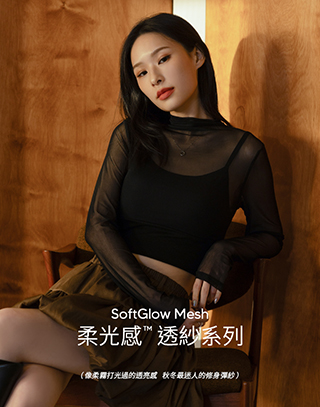 柔光透紗半高領長袖上衣(附胸墊)