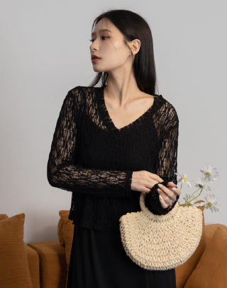透紗感蕾絲V領上衣