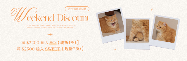 ❤️週末限定優惠❤️